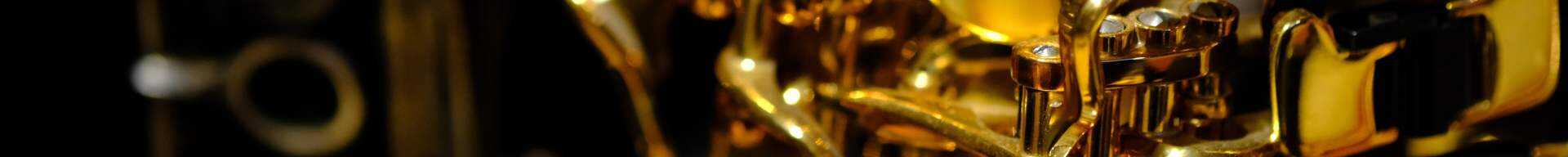 CUSTODIE SAX BARITONO