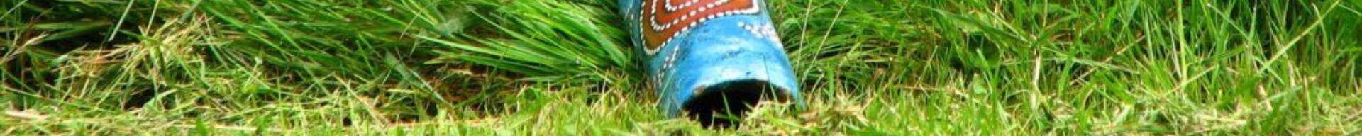 DIDGERIDOO