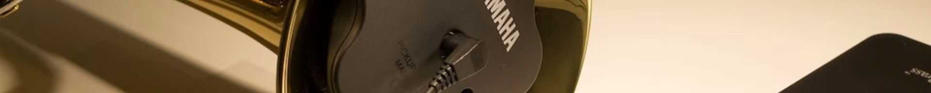 ACCESSORI EUFONIO E FLICORNO BARITONO 