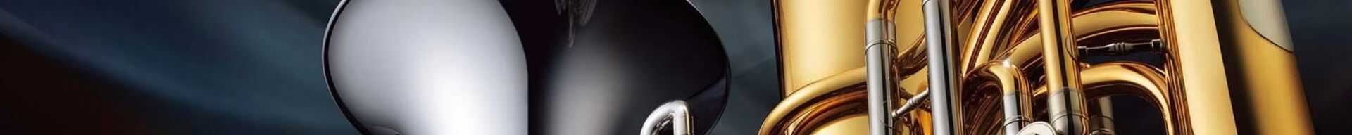 BASSI TUBA Sib