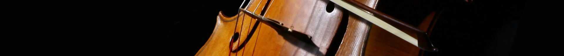 VIOLONCELLI