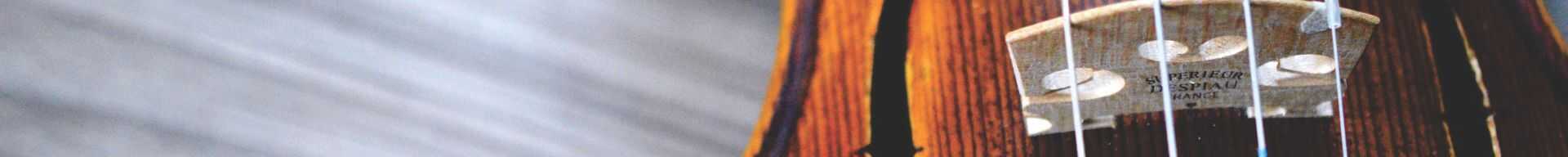 VIOLINO 1/16 1/10 1/8 1/4
