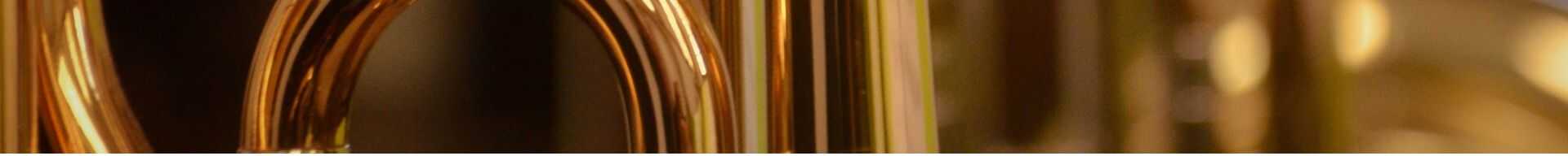 ACCESSORI TROMBONE