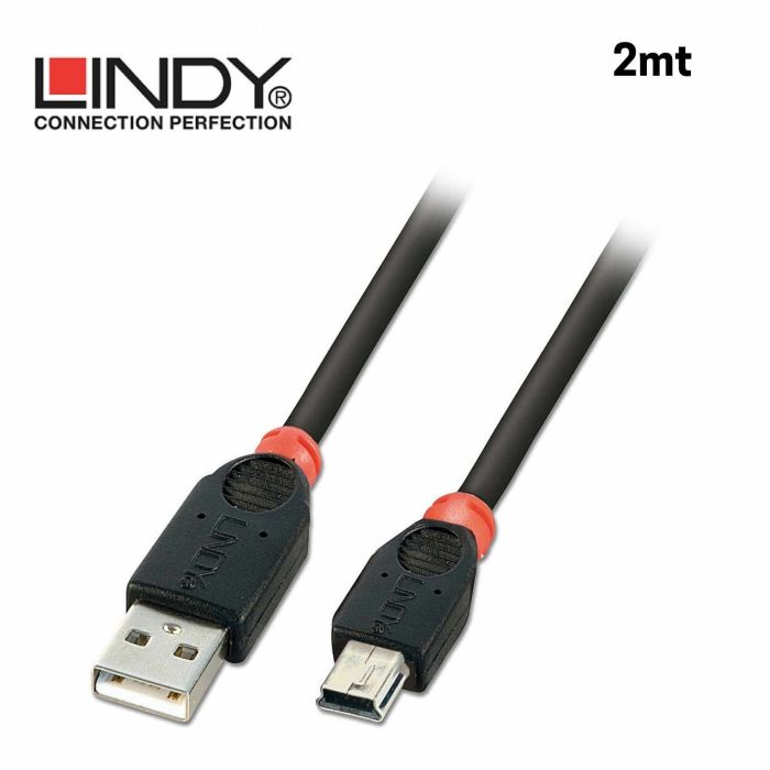 Cavo Lindy usb 2.0 A/Mini-B 2mt main product photo