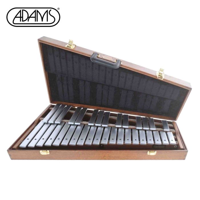 Glockenspiel Adams Artist 2.6 ottave F5-D8 case in rovere main product photo
