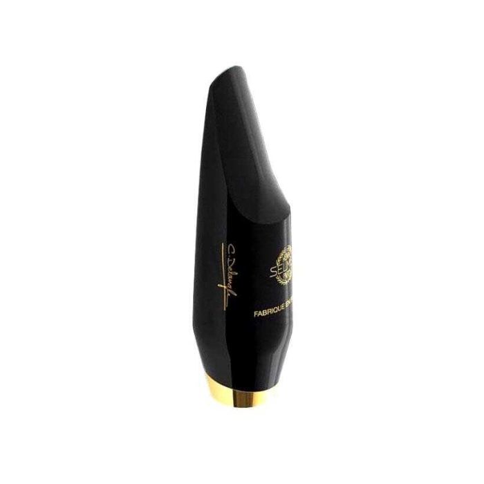 Bocchino Sax Alto Selmer Claude Delangle nudo main product photo