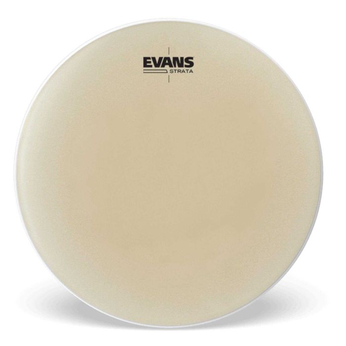 Evans EST31 31" Strata per Timpano 29" main product photo