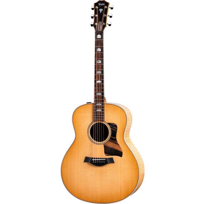Taylor 618E V-Class bracing main product photo