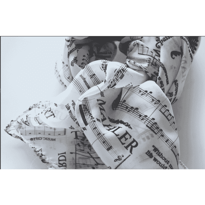 Foulard compositori Bianca (150x50) main product photo