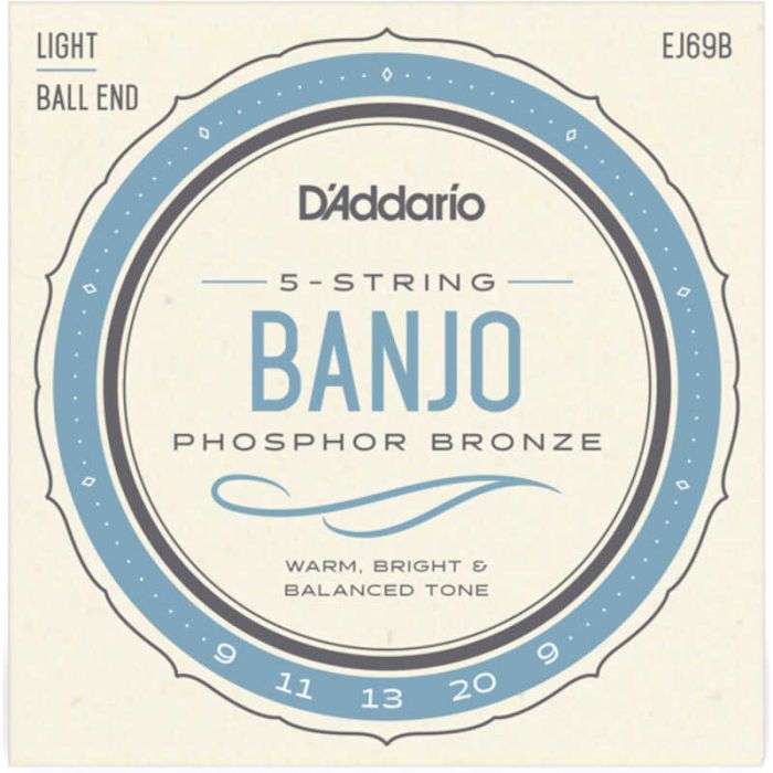 D`Addario EJ69B main product photo