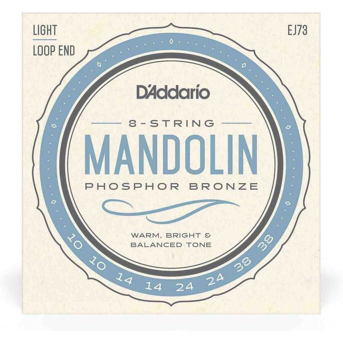 D`Addario EJ73 main product photo