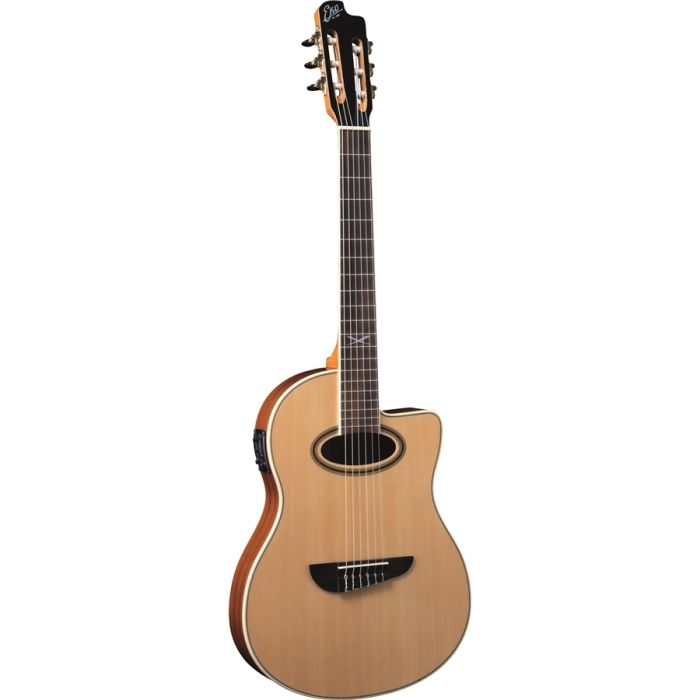 Eko NXT N100CE main product photo