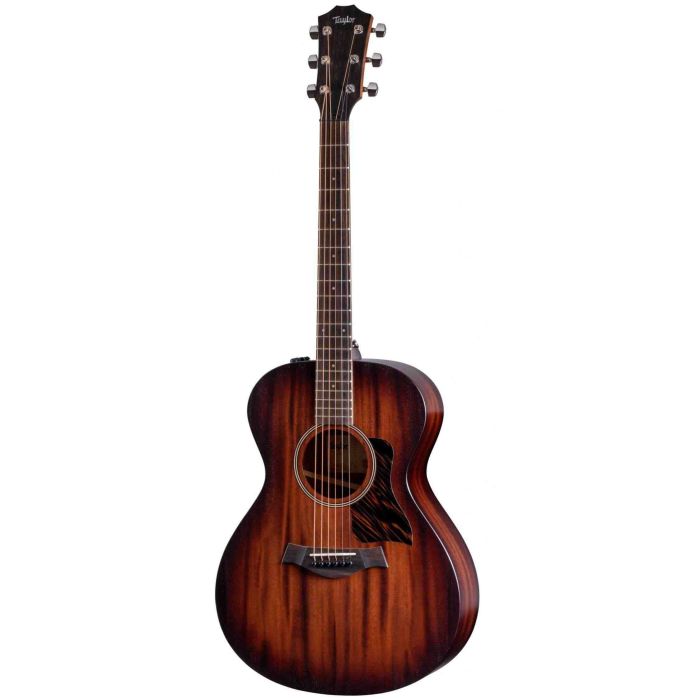 Taylor AD24ce SEB main product photo