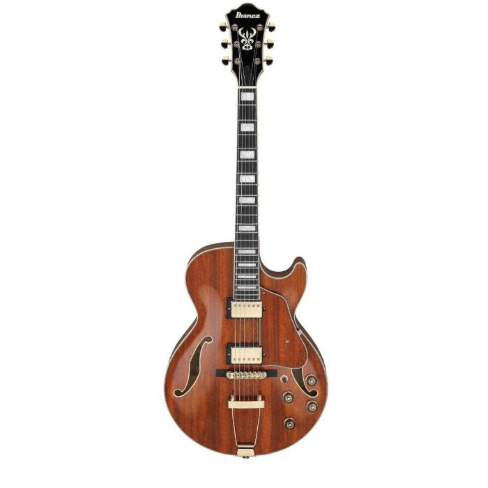 Ibanez AG95KNT main product photo