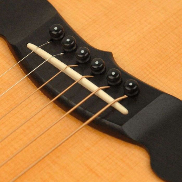Piroli chitarra acustica D'Addario PWPS10 plastica main product photo