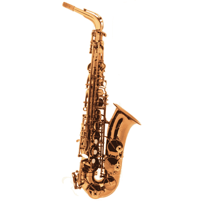 Sax Alto Rampone & Cazzani Performance laccato con custodia main product photo