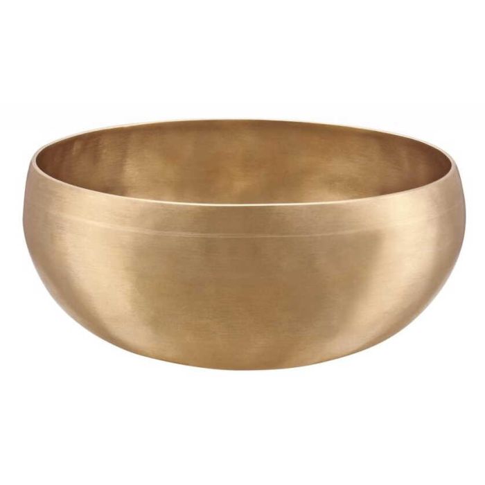 Meinl Sonic Energy SB-C-1000 main product photo