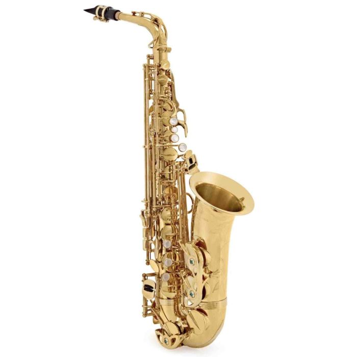 Sax Alto Yanagisawa AWO1 Professional laccato con custodia main product photo