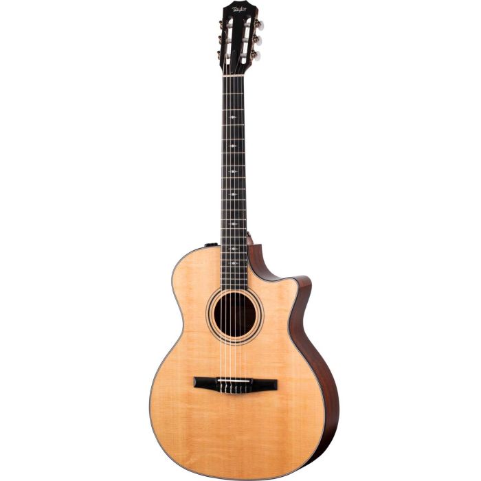 Taylor 314ce-N main product photo