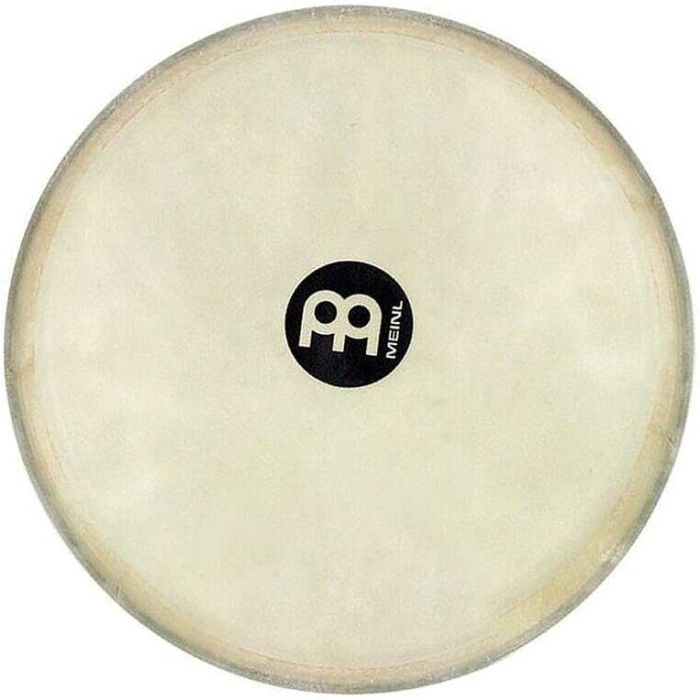 Meinl TS-G-01 Djembe Head 12" main product photo