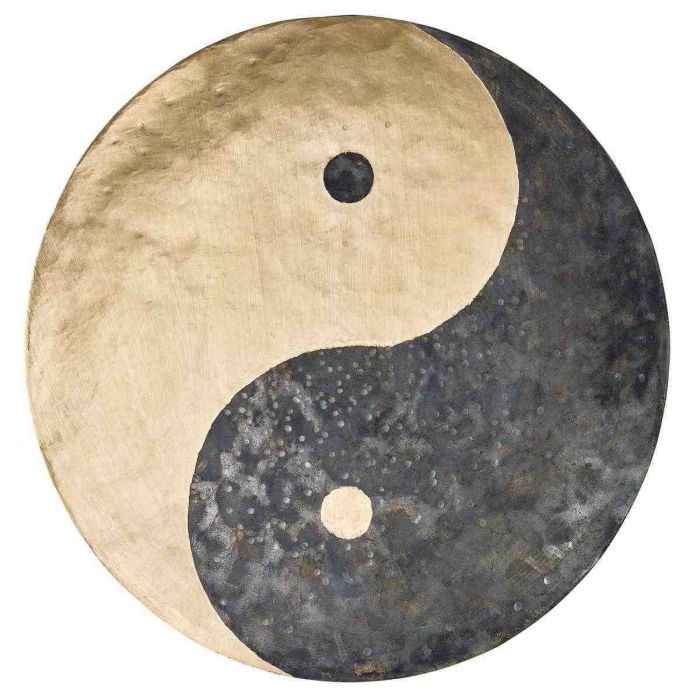 Meinl Sonic Energy Wind Gong 16" WGYY16 main product photo