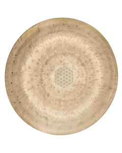 Meinl Sonic Energy WGFOL12