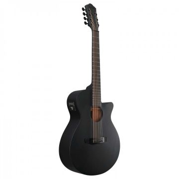 Ibanez AEG721-BOT