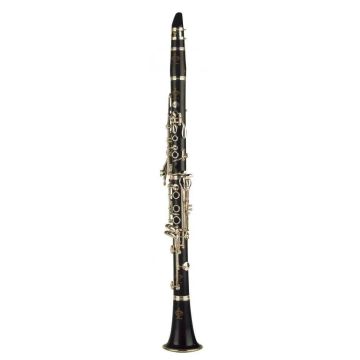 Clarinetto Sib Buffet Crampon Festival BC1139LN-2-0P 