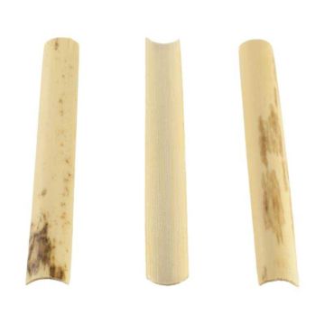 Canna Oboe Berthelot sgorbiata medium BF-3 10pz