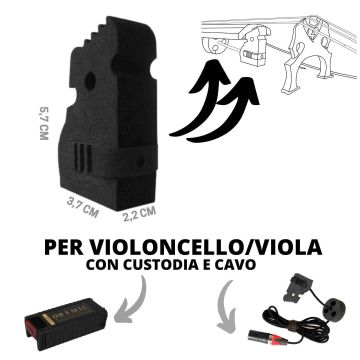 Remic C5300