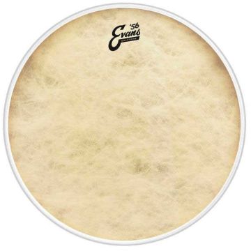 "Evans BD22CT Calftone 22"" Bass Drum"