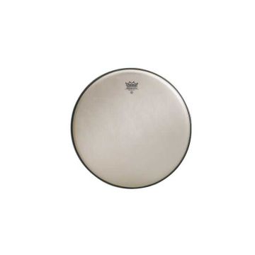 Remo RA-0008-SS