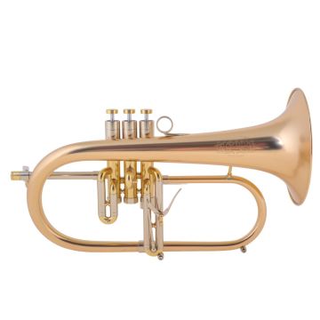 Adams F2 Custom 0,50 goldbrass Flicorno Soprano satin gold laquered