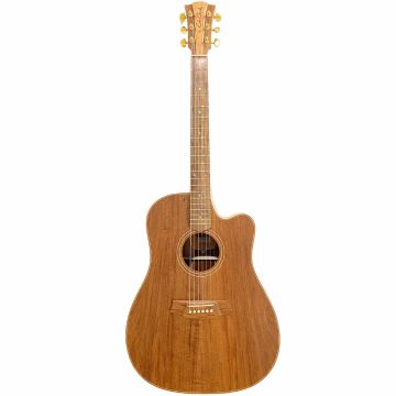 Cole Clark FL2EC-BLBL blackwood con custodia