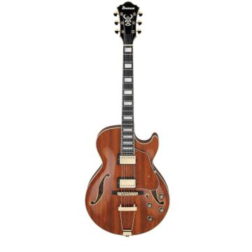 Ibanez AG95KNT