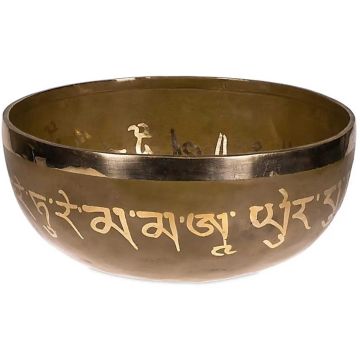Campana Energy 27cm Tara Buddha bronze