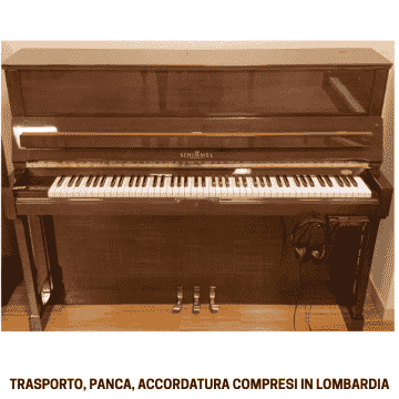 SCHIMMEL MOGANO CON PANCA USATO