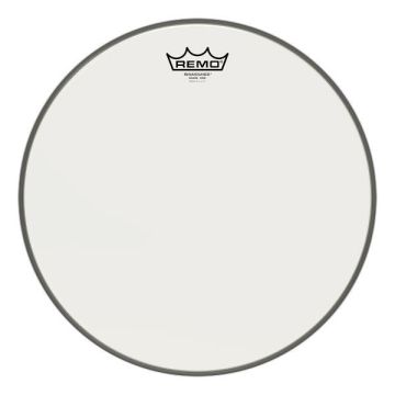 "Remo SA-0014-SS Ambassador Renaissance risonante 14"""