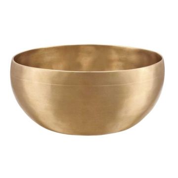 Meinl Sonic Energy SB-U-750