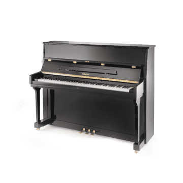 Steinbach 115 nero lucido