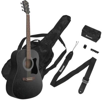 Ibanez V54NJP-WK