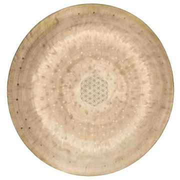 Meinl Sonic Energy Wind Gong 12" WGFOL12